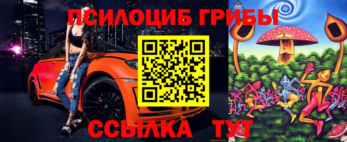 Псилоцибиновые грибы Cubensis  Вход с VPN  Вышний Волочёк 