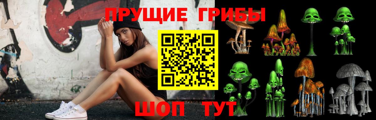 Псилоцибиновые грибы Cubensis Вышний Волочёк